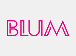 Логотип BLUM (Блюм)